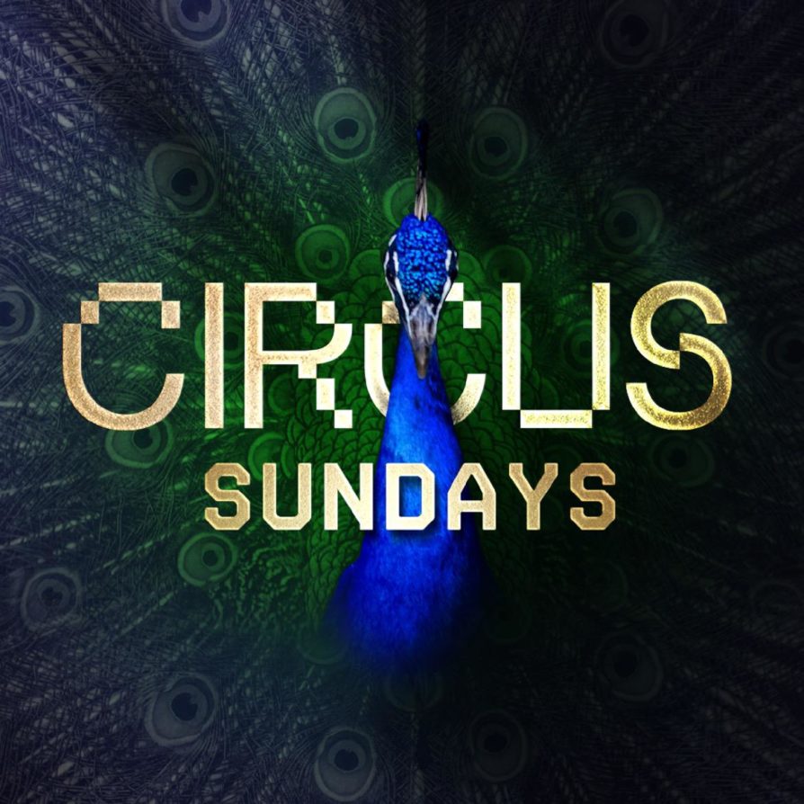 CIRCUS SUNDAYS - Sunday 31st May